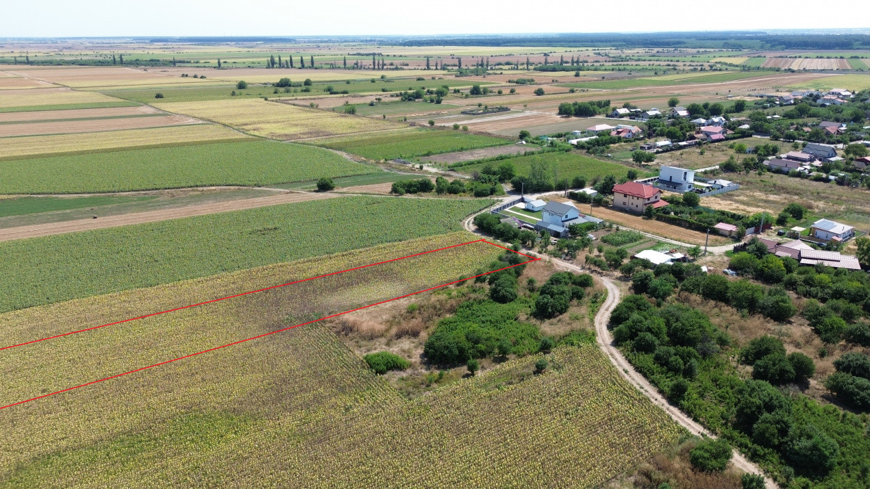 Terenuri de vanzare Darza Central 1