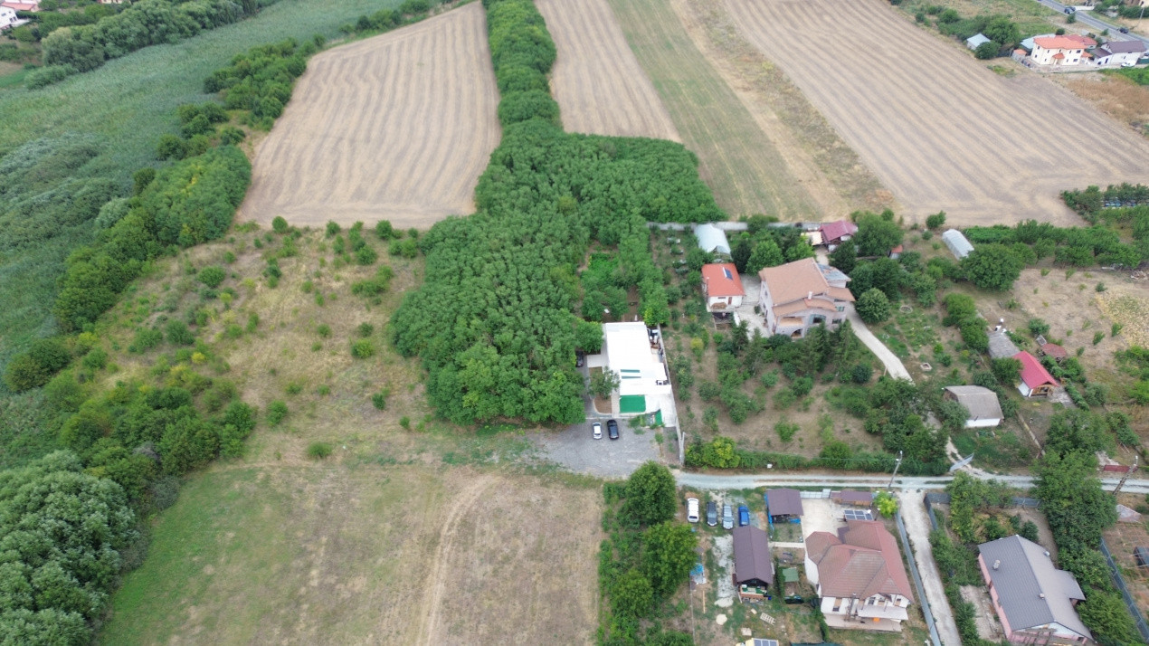 Case de vanzare Frumusani Central 5