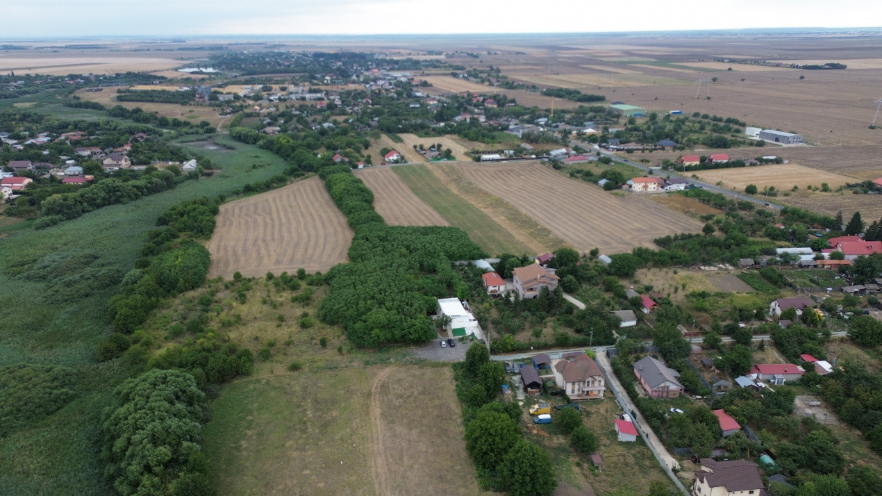Case de vanzare Frumusani Central 6