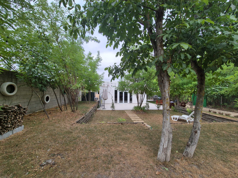 Case de vanzare Frumusani Central 3