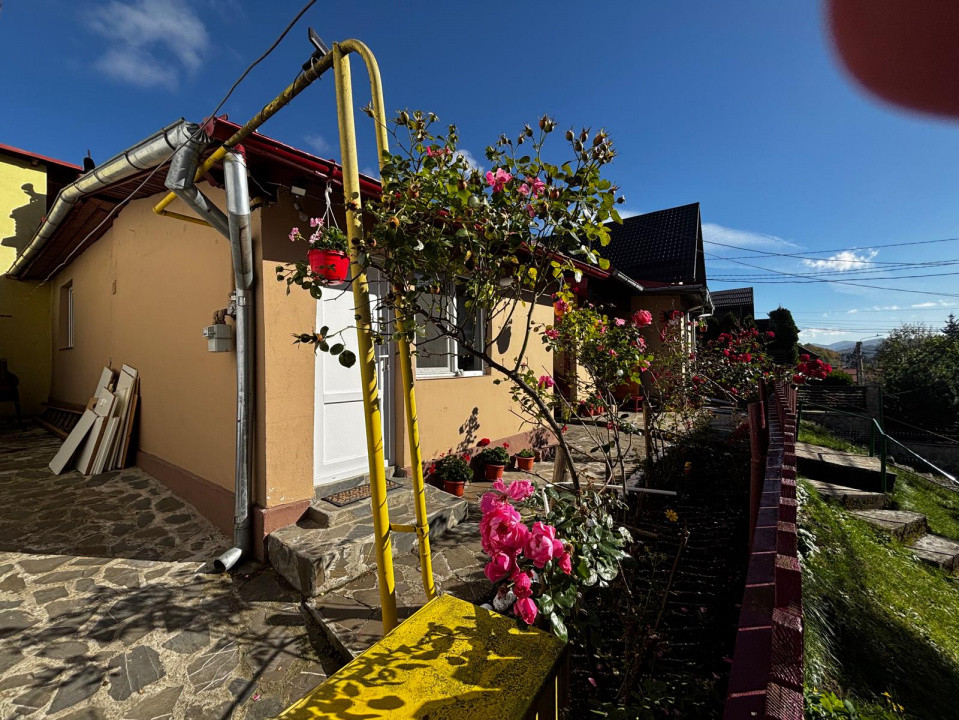 Case de vanzare Busteni Piatra Arsa 2