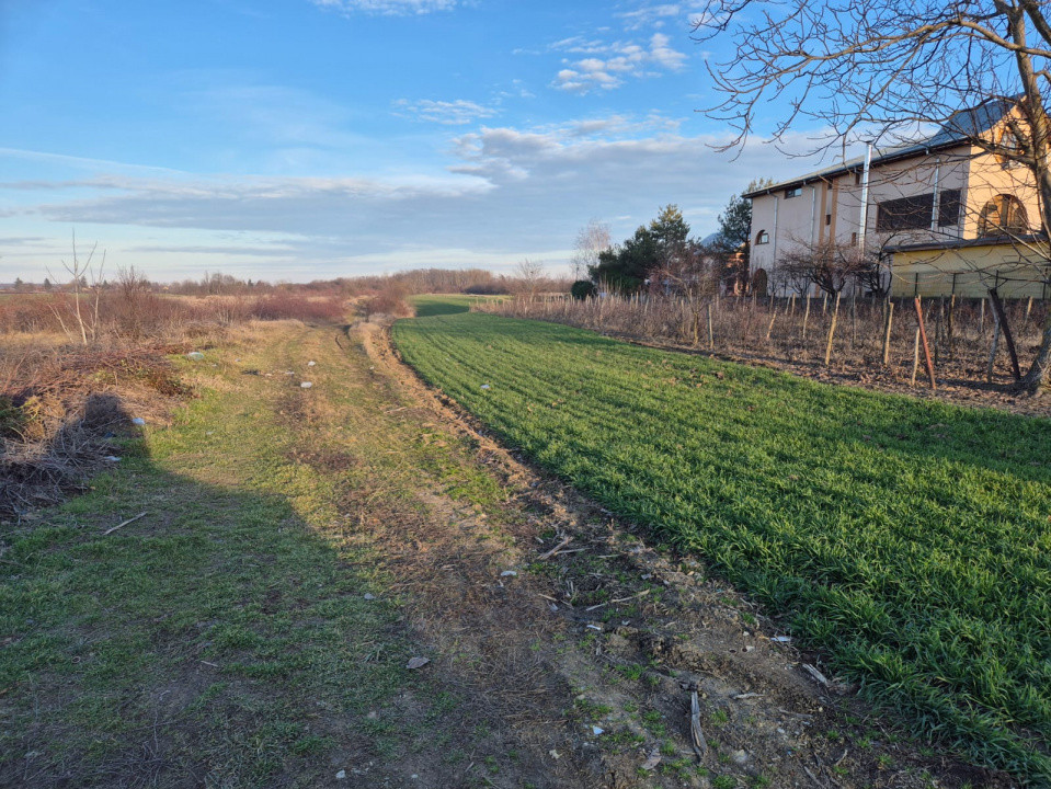 Terenuri de vanzare Gradinari Central 1