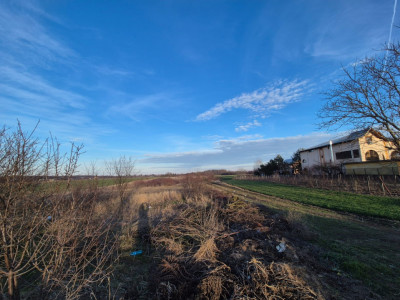 Terenuri de vanzare Gradinari Central imagine mica 4