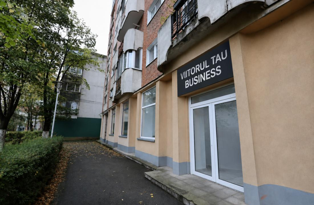 Spatii comerciale de vanzare Timisoara Central 1