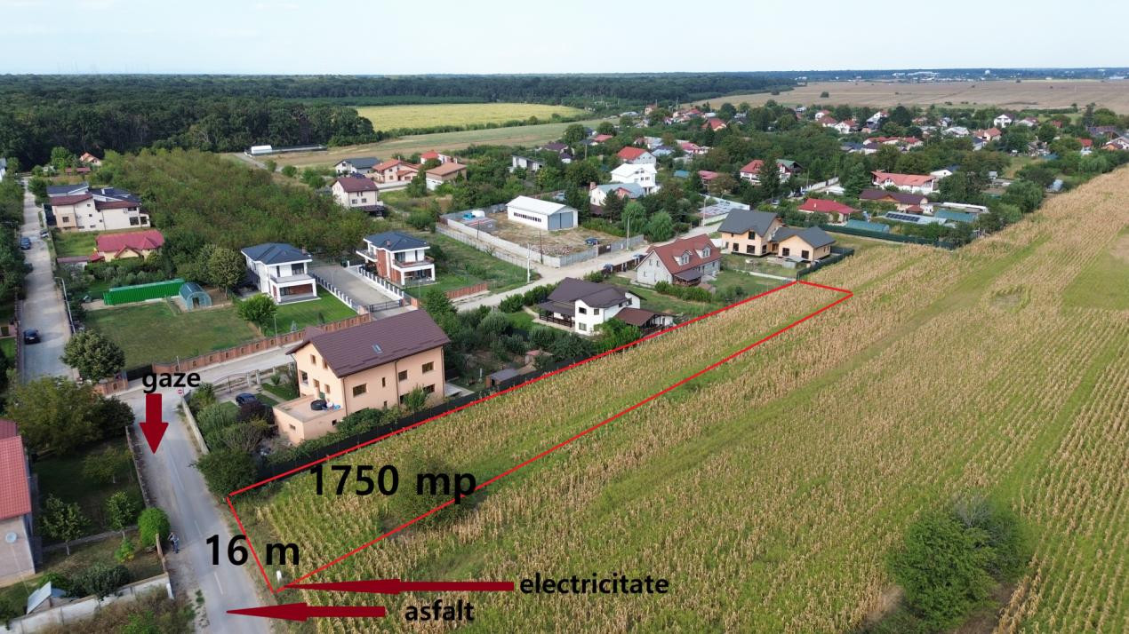 Terenuri de vanzare Tancabesti Central 2