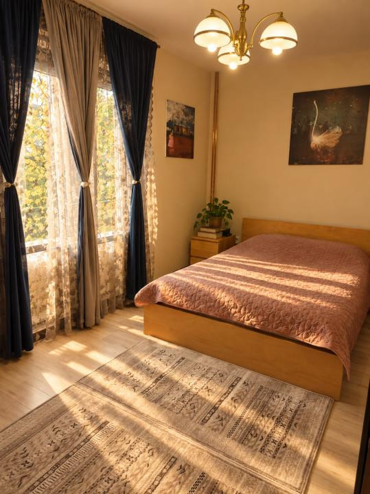 Case de vanzare Branesti Central 7