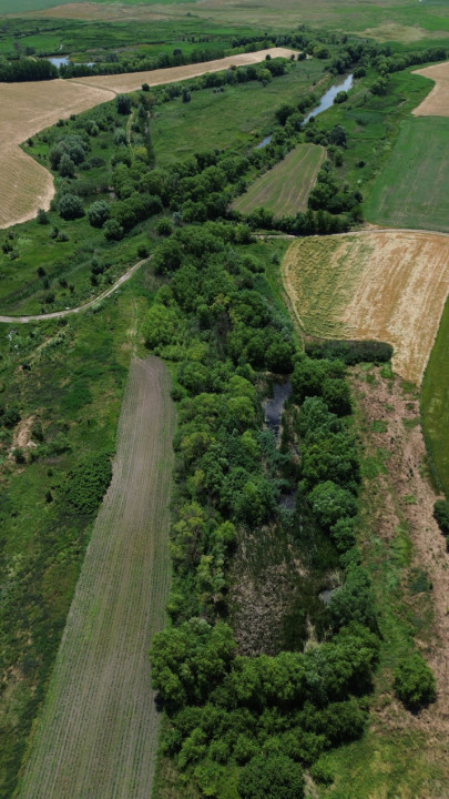 Terenuri de vanzare Gruiu Sud 3
