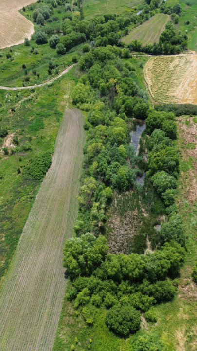 Terenuri de vanzare Gruiu Sud 5