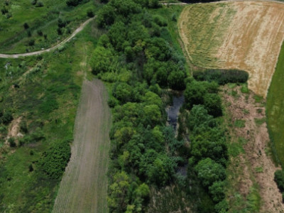 Terenuri de vanzare Gruiu Sud imagine mica 3