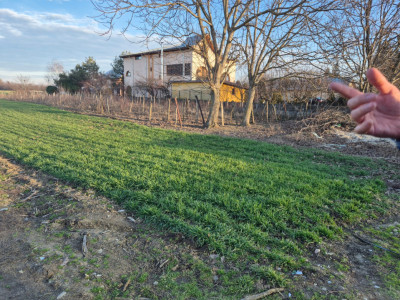 Vand teren in Tandava cu deschidere la PADURE (Gradinari, Giurgiu)