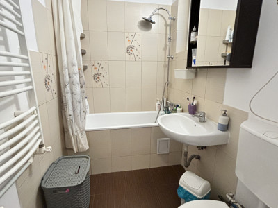 Apartamente de vanzare Bucuresti Iancului imagine mica 12