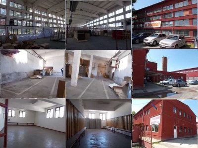 Spatii industriale de vanzare Brad Nord imagine mica 3