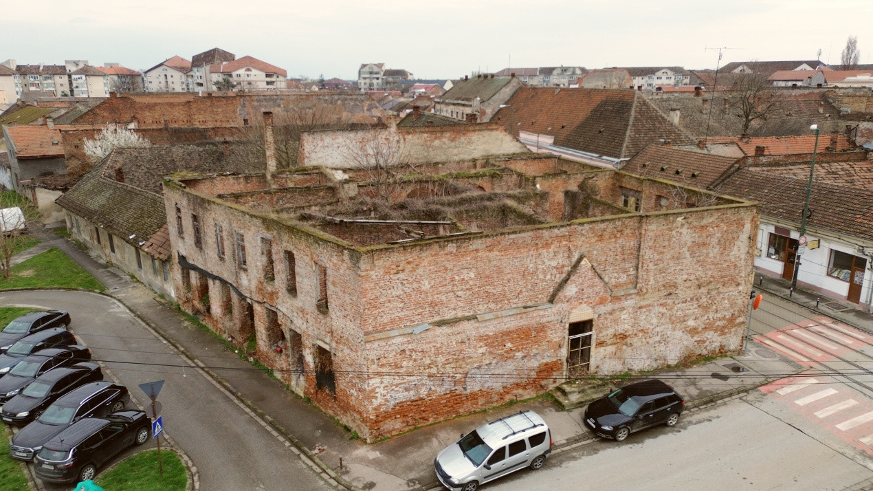Case de vanzare Timisoara Traian 1