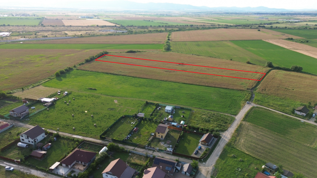 Terenuri de vanzare Bod Central 3