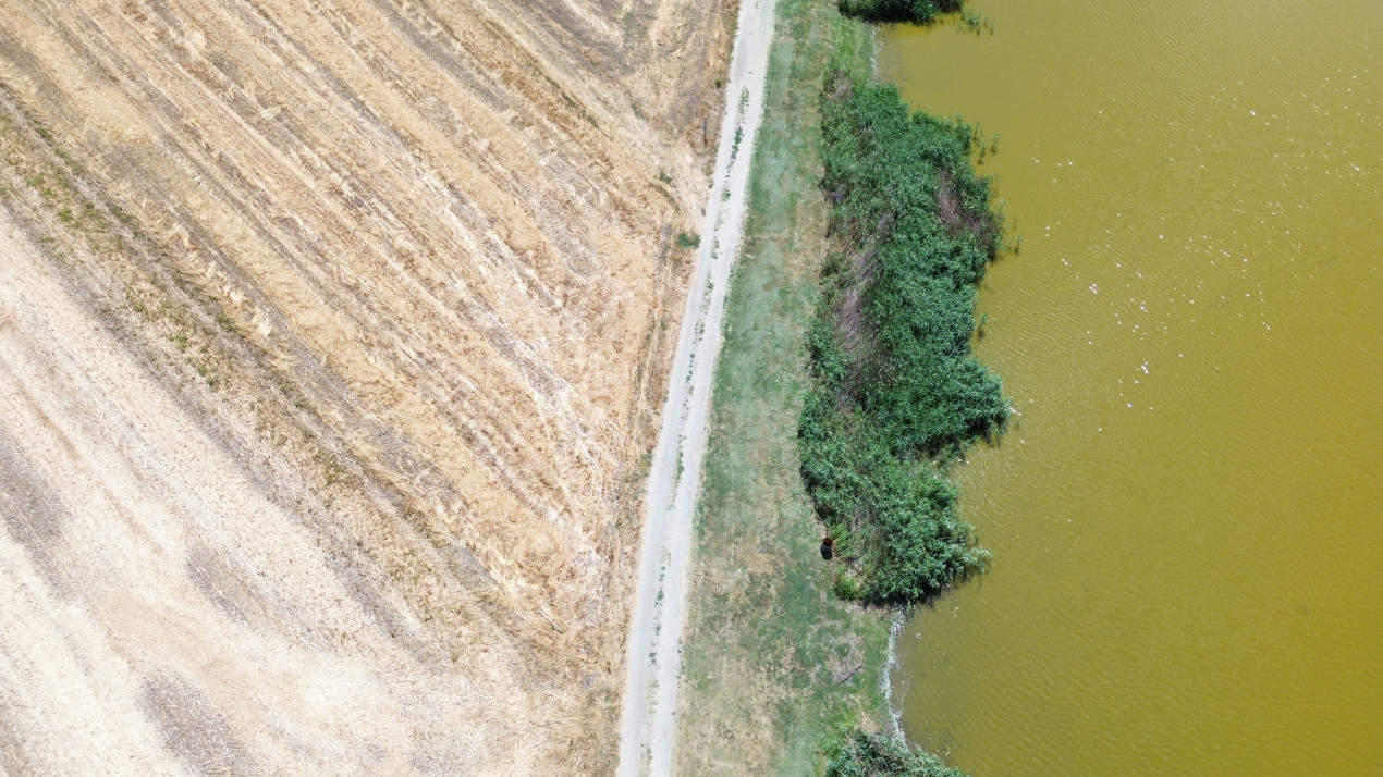 Terenuri de vanzare Frumusani Central 1