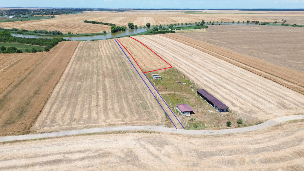 Terenuri de vanzare Frumusani Central 3