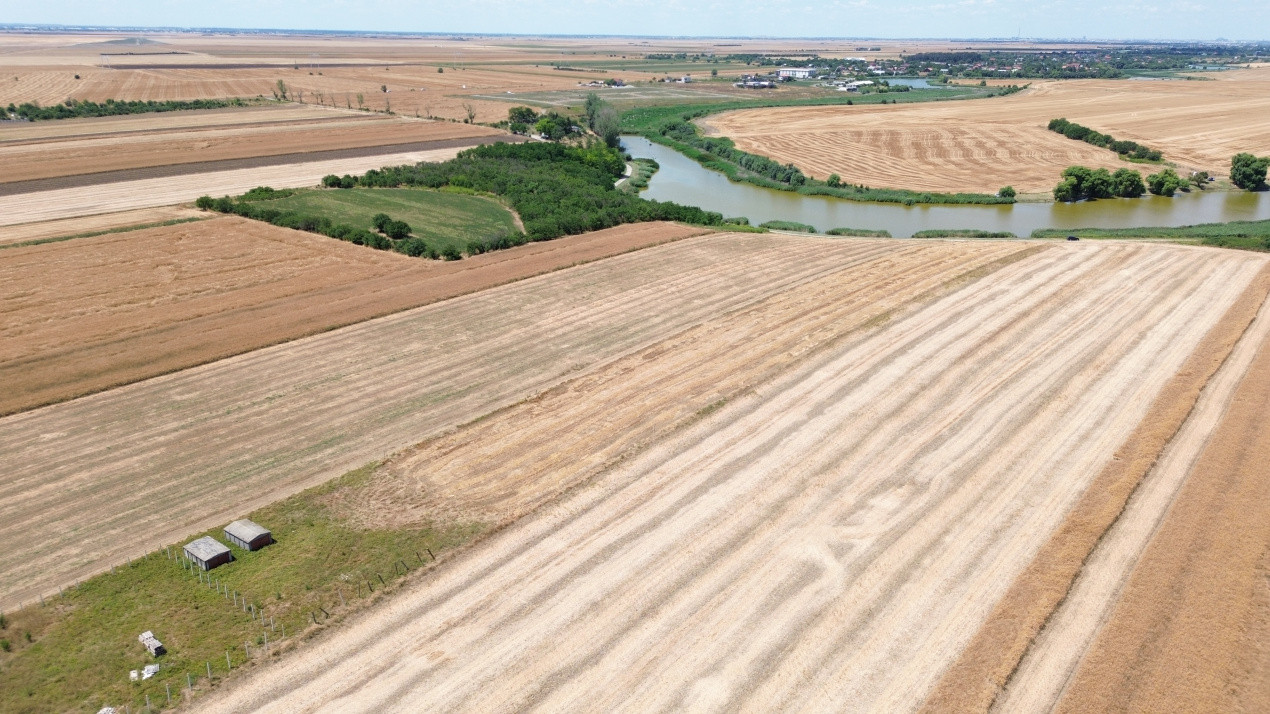 Terenuri de vanzare Frumusani Central 10