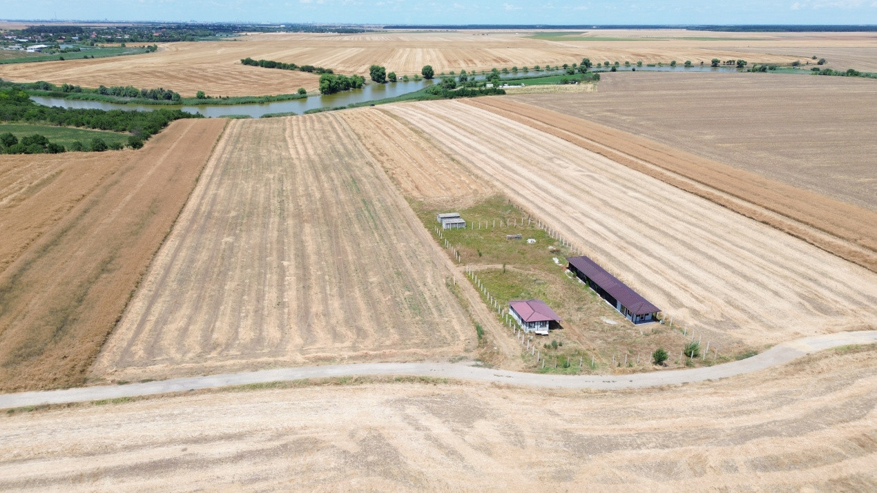 Terenuri de vanzare Frumusani Central 11