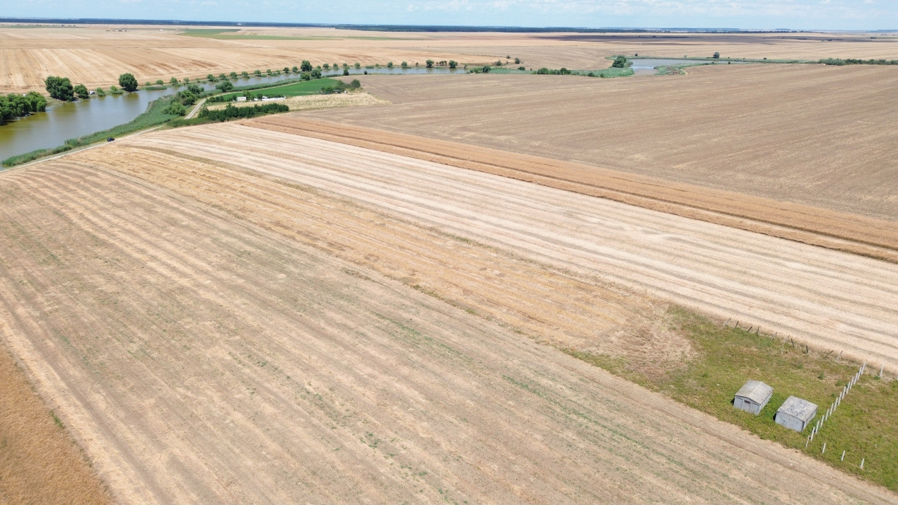 Terenuri de vanzare Frumusani Central 12