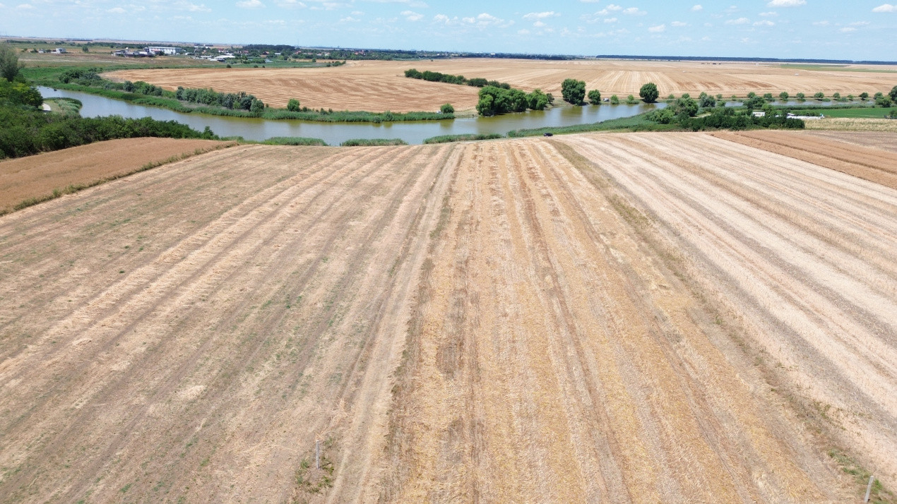 Terenuri de vanzare Frumusani Central 13