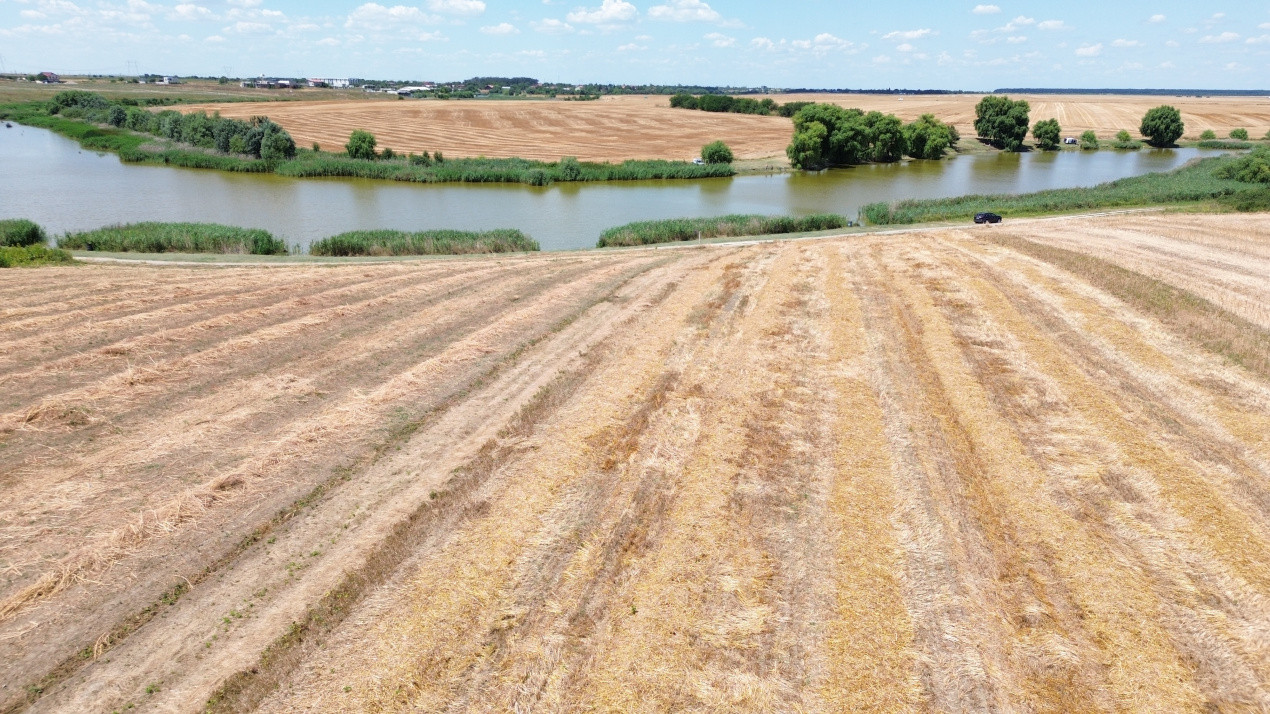Terenuri de vanzare Frumusani Central 14