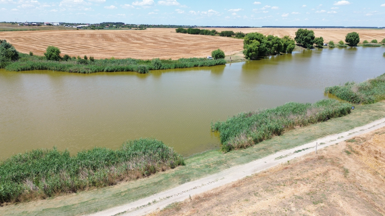 Terenuri de vanzare Frumusani Central 16