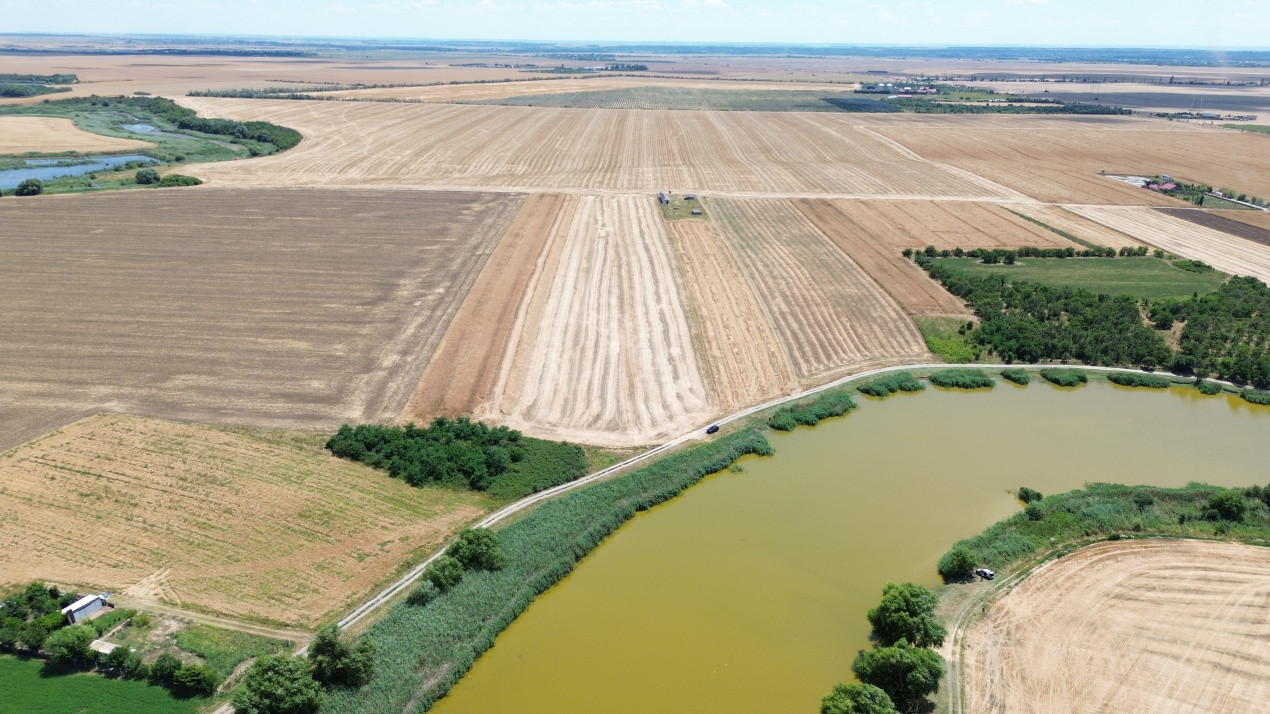 Terenuri de vanzare Frumusani Central 17