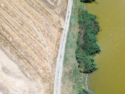 teren la lac Frumusani