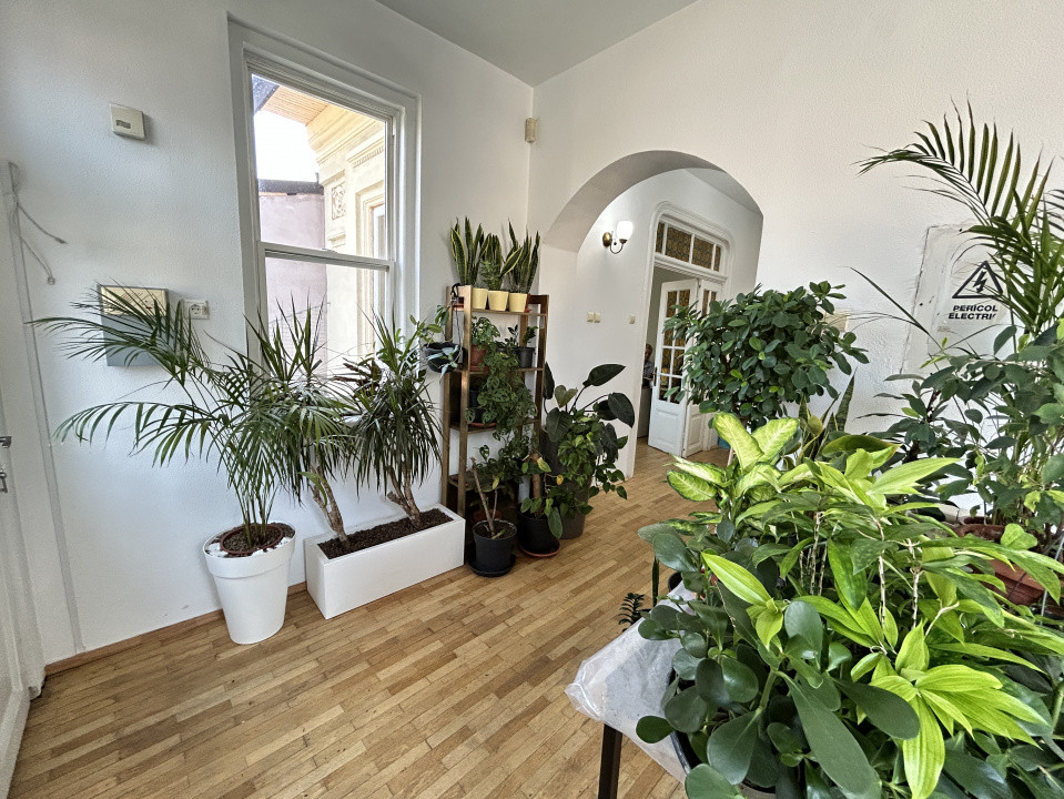 Spatii birouri de inchiriat Bucuresti Cantemir 3