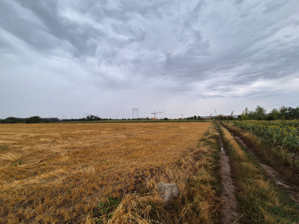 Terenuri de vanzare Bolintin-Deal Central 6